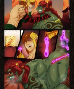 Passion In The Kingdom - Link X Ganondorf And King Rhoam 014