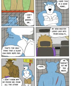 Pet Mansion 002