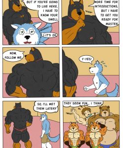 Pet Mansion 006