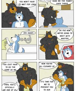 Pet Mansion 011