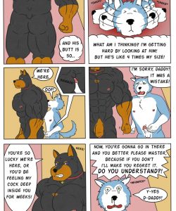 Pet Mansion 013