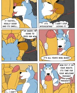 Pet Mansion 016