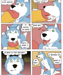 Pet Mansion 017