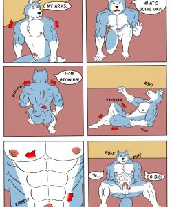 Pet Mansion 019