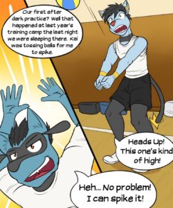 Poke Ballers - Penalty Match 002