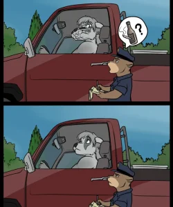 Pulled Over 012