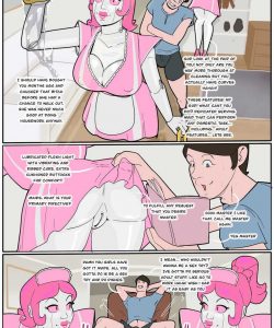 Robot Maid