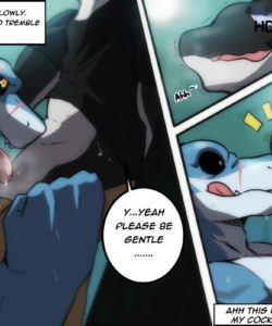 Shark Service 004