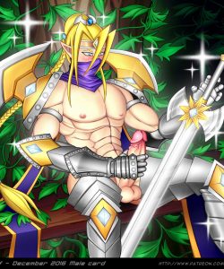 Shining Elf 006