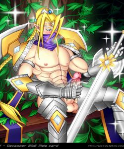 Shining Elf 007