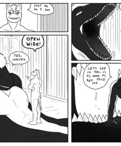 Stallion & Nite 007