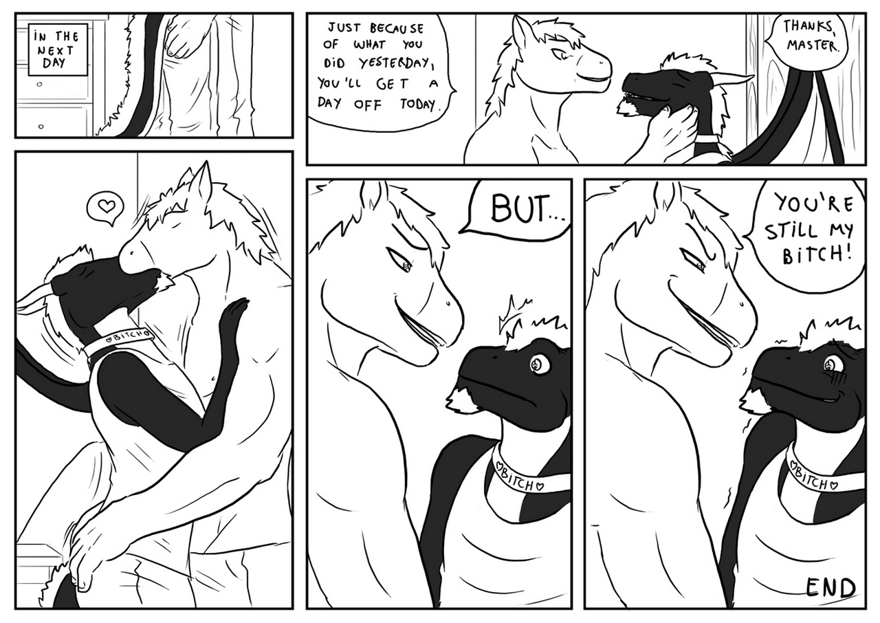 Stallion & Nite 010