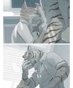 Stripes 006