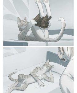 Stripes 008