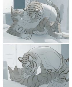 Stripes 009