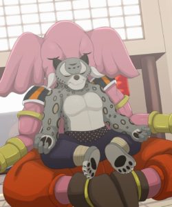 Tai Lung X Rumsshi