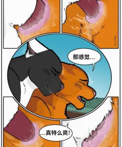 Talltail x Jake 015