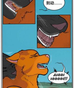 Talltail x Jake 016