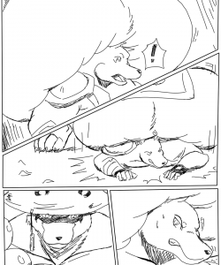 Tanuki Takedown 003