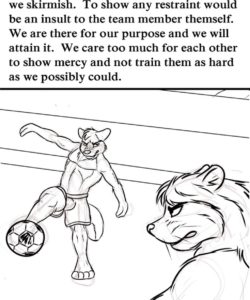 Team Spirit 010
