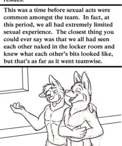 Team Spirit 015