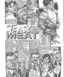 Teasy Meat