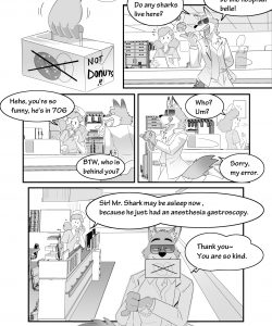 The Bed Guys 003
