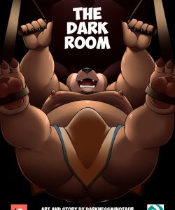 The Dark Room