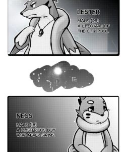 The Full Moon
