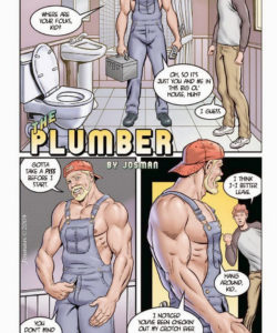 The Plumber
