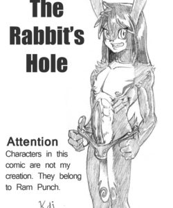 The Rabbit's Hole