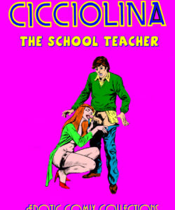 The School Teacher