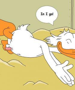 The Stalking Duck 005