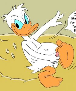 The Stalking Duck 011