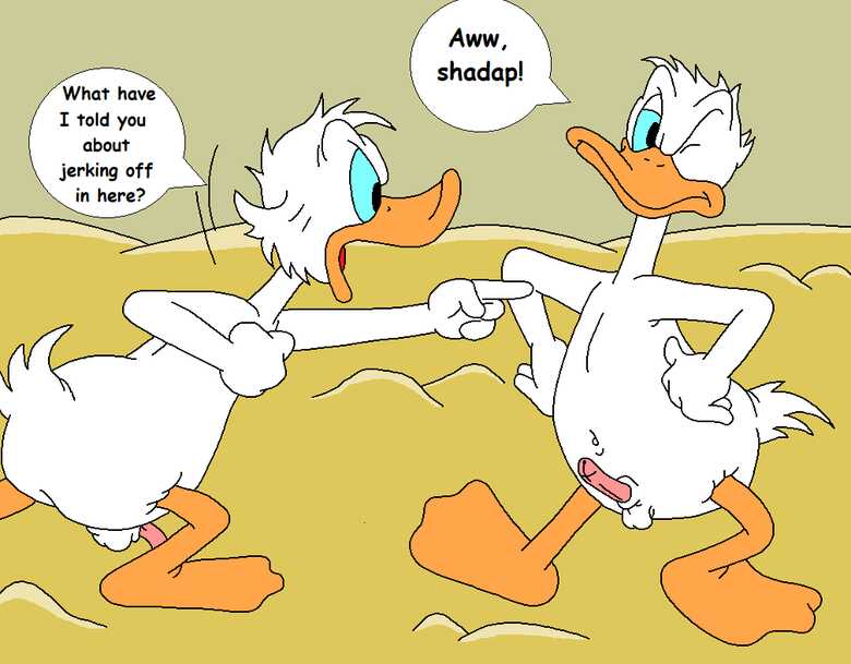 The Stalking Duck 013