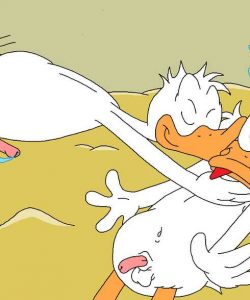 The Stalking Duck 014