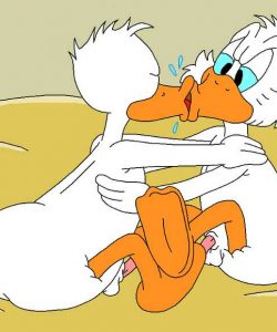The Stalking Duck 017