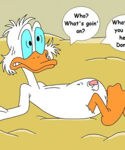 The Stalking Duck 024