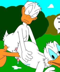 The Stalking Duck 039