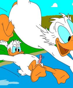 The Stalking Duck 048