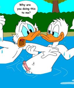 The Stalking Duck 052