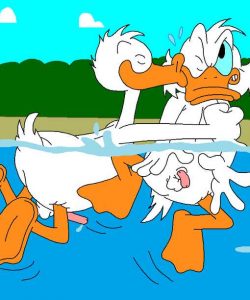 The Stalking Duck 053