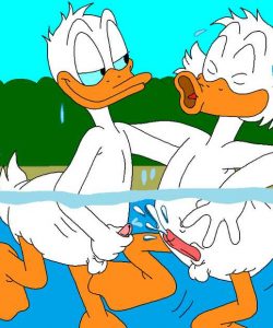 The Stalking Duck 059