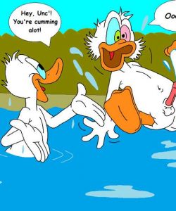 The Stalking Duck 061