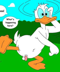 The Stalking Duck 114