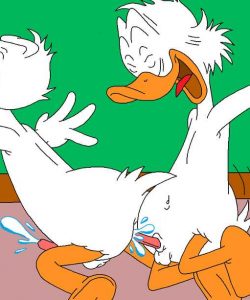The Stalking Duck 170