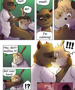 The Story Of The Racoon 002