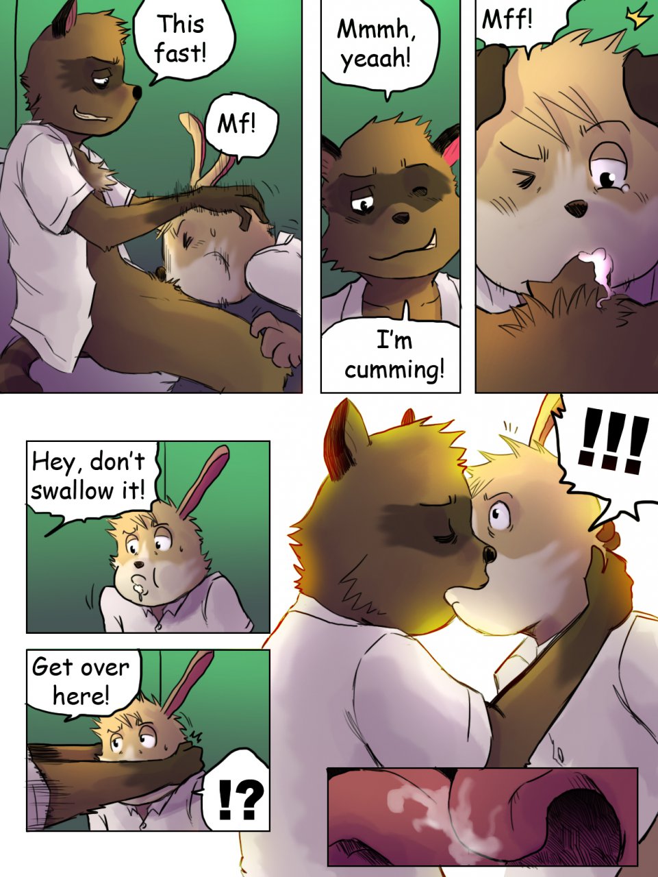 The Story Of The Racoon 002