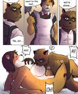 The Story Of The Racoon 004