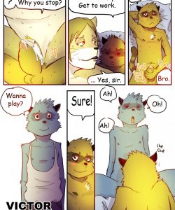 The Story Of The Racoon 006